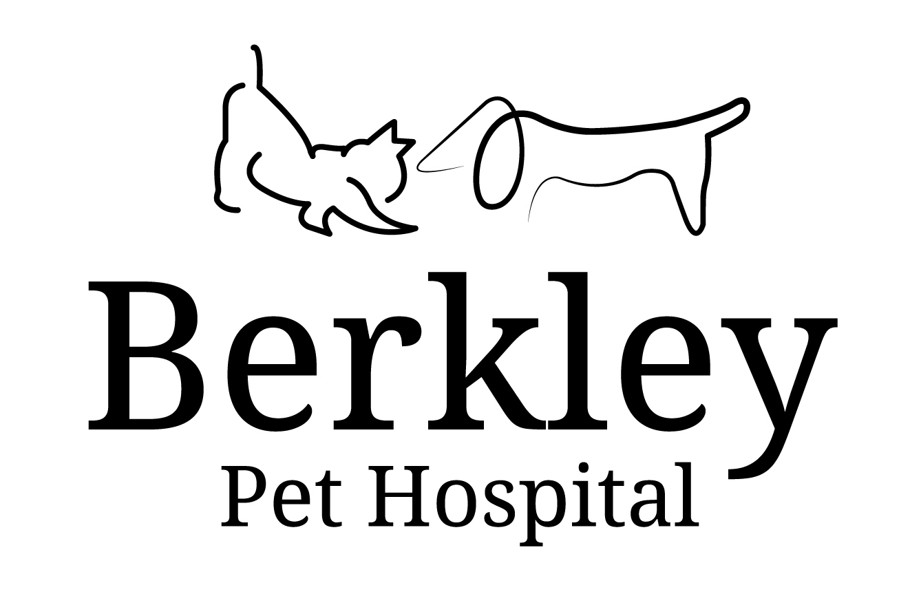 Berkley Pet Hospital